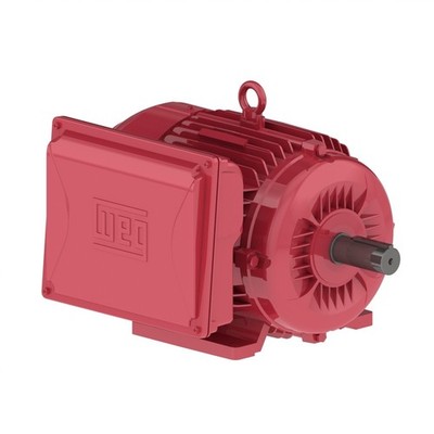 Weg 00518ES1DFD215T-W22  motor 215T frame