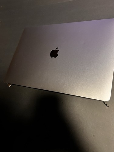 Genuine Apple LCD Screen 16" MacBook Pro A2141 2019 OEM DISPLAY Assembly - Afbeelding 10 van 12