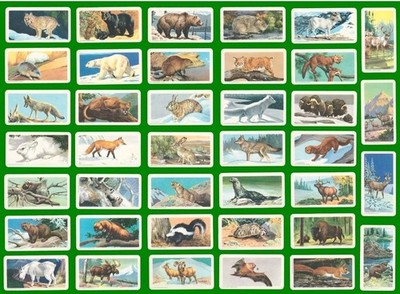 ANIMALS OF NORTH AMERICA BROOKE BOND CANADA 1960 SET OF TRADE CARDS ROLAND BACK