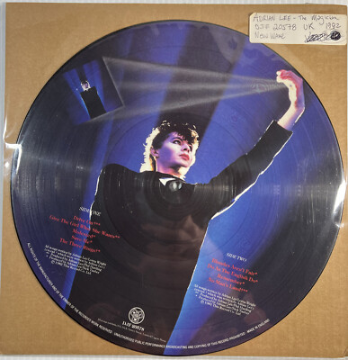 ADRIAN LEE - The Magician Vinyl LP Picture Disc 1982 This Record Co. DJF 20578