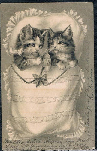 Rare Antique Early 1902s Vintage Litho. French Postcard Sweet Kitty Cats