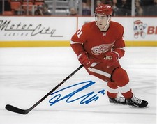 Detroit Red Wings Filip Zadina Autographed Signed 8x10 Photo COA