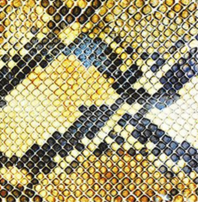The Amazing Snakeheads Amphetamine Ballads (CD) Album Digipak