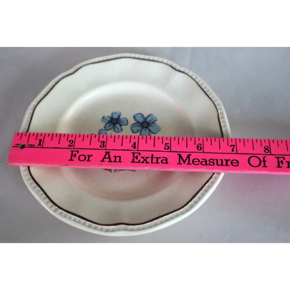 SET of 6 Kensington Blue Flower Salad Plate 7" Staffordshire Ironstone