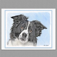 6 Border Collie Dog Blank Art Note Greeting C...