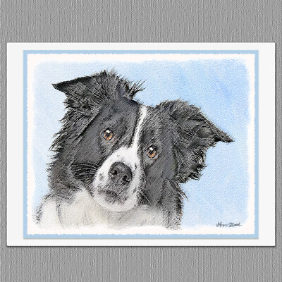 6 Border Collie Dog Blank Art Note Greeting Cards