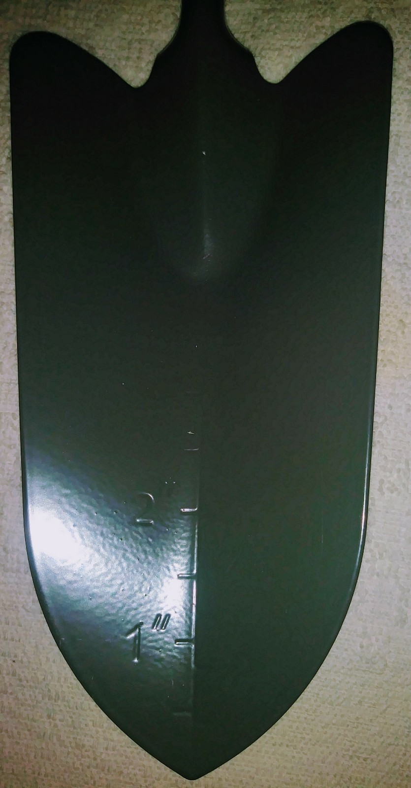 Picture 7 of 11
