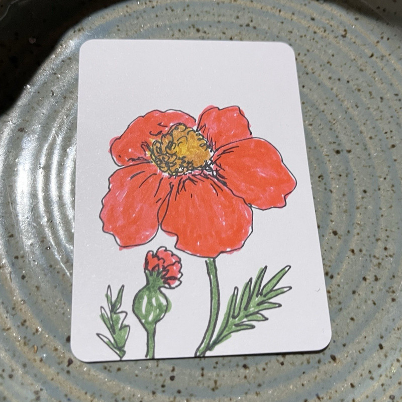 Botanical Red Flower Ink Drawing Illustration on Paper, Small Unframed