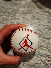 Michael Jordan Air Logo - Nike Spring Training Limited Edition Wilson Baseball