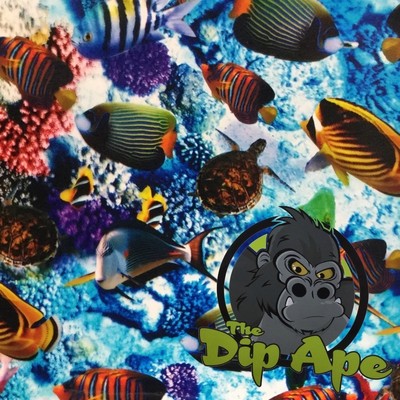 AQUARIUM FISH OCEAN SHARKS HYDROGRAPHIC WATER TRANSFER HYDRO FILM DIP APE