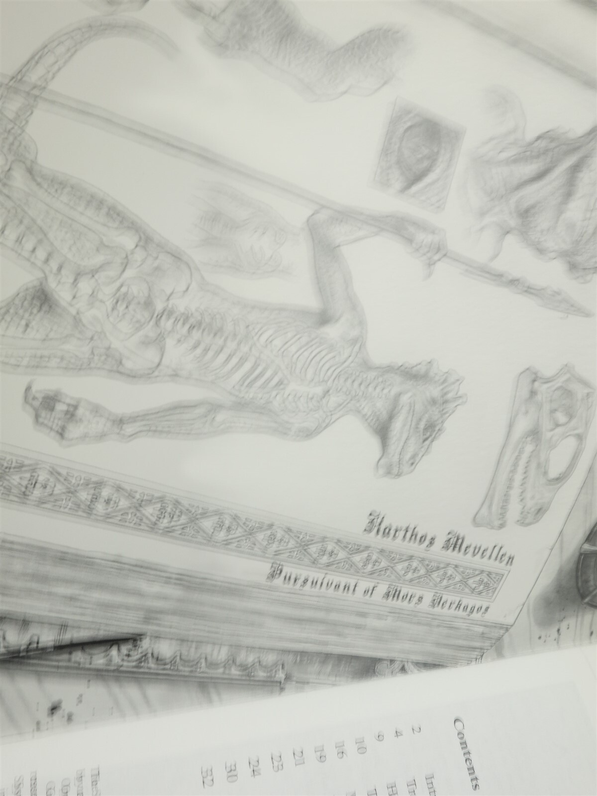 Picture 8 of 12