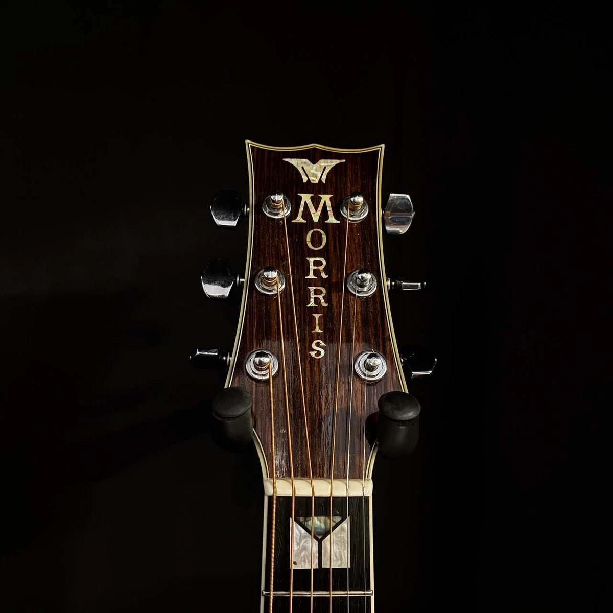Guitarra acústica Morris MG-600 Japón abeto sólido palo de rosa Sunburst con ...