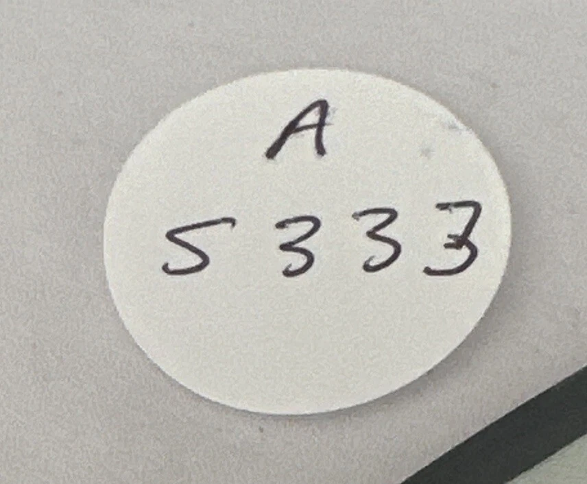 Jan & Dean - Surf's Up 1986 Picture Disc Excellent Condition LP Vinyl - Image 4 of 4