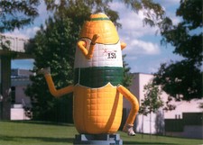 Postcard Corn on the Run by Dana Hoback