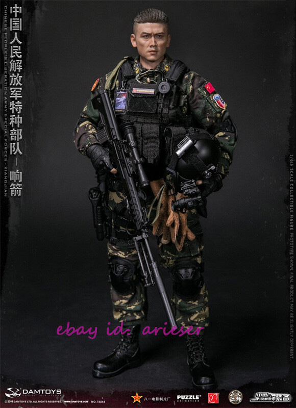 Damtoys 78048 1/6 Chinese People's Liberation Army Special