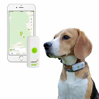 small dog gps tracker