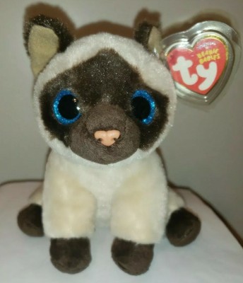 ty siamese cat
