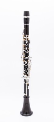 Royal Global Professional Polaris Bb Clarinet