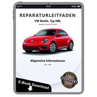 VW Beetle Typ NBL 2016-2019 Allgemeine Information Lack Werkstatthandbuch PDF