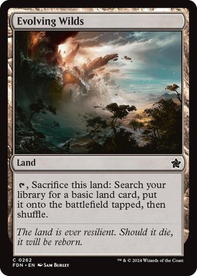 Evolving Wilds - 262 - FDN - NM