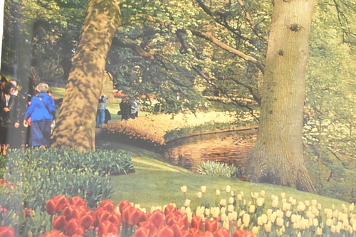 Vintage Keukenhof Garden scene poster 1996 Holland 38X25 W/Poster Tube - Picture 5 of 16