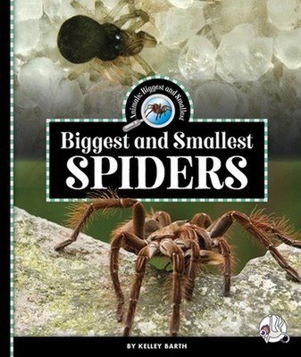 Biggest and Smallest Spiders by Kelley Barth Hardcover Book