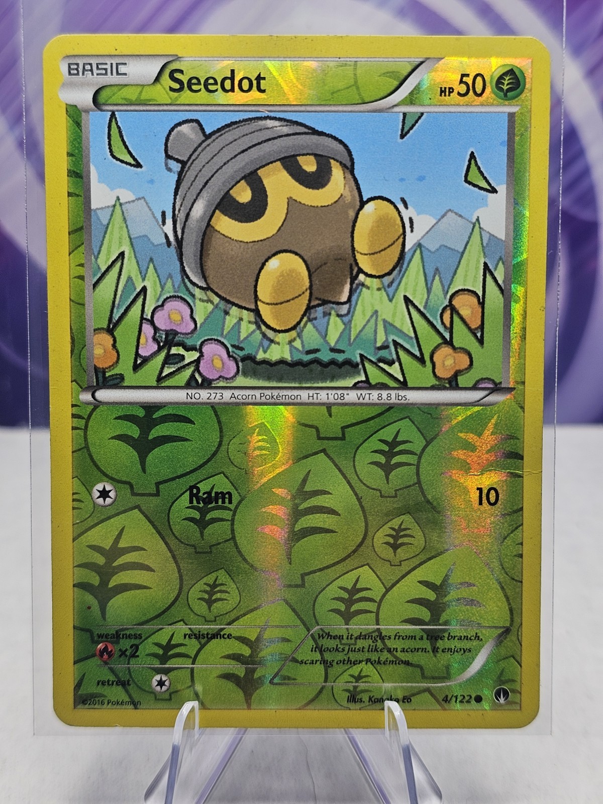 Seedot Reverse Holo Common XY BREAKpoint 4/122 Pokémon TCG HP