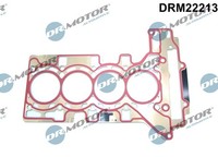 Dr.Motor Automotive Zylinderkopfdichtung FüR BMW 3Er Touring 320I 328I 2
