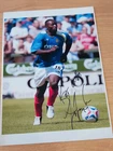 Superb Hand Signed Lomana LuaLua Portsmouth 12x8" Photo