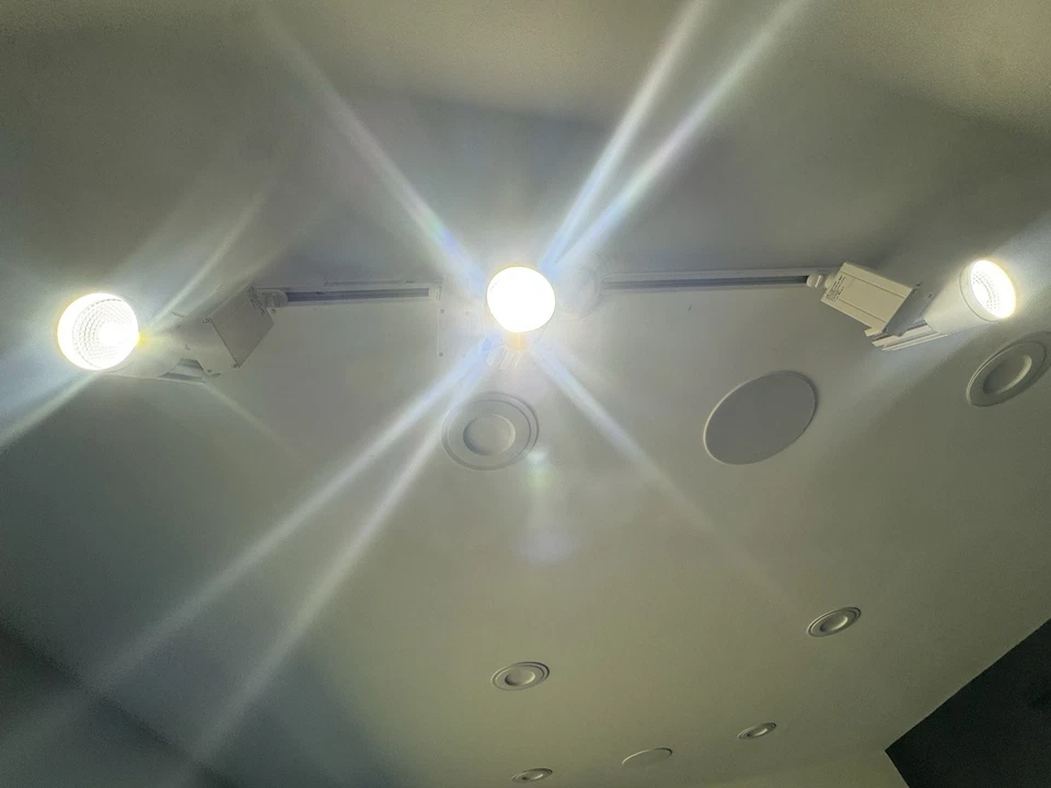 Green “Plant” Wall w/ LED Track Lighting - Image 2 of 4