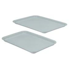 12x9" Fast Food Tray, 2 Pack Plastic Reusable Serving Tray Light Blue