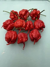 20+Carolina Reaper Pepper Seeds World Record 100% Organic Free shipping