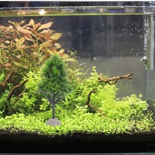  Piante Finte Per Acquario Decorazione Del Paesaggio Serbatoio Pesce