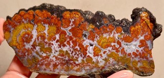 Rare Wingate Pass Plume Agate Rough Slab! CA