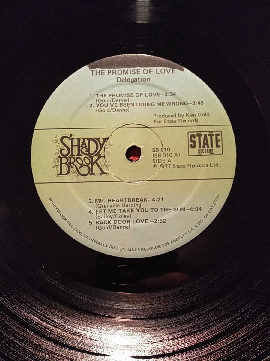 DELEGATION: THE PROMISE OF LOVE 1977 STATE RECORDS SHADY