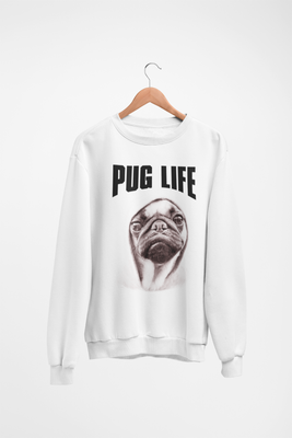 jumper for pug