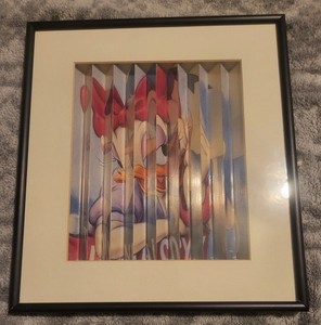 Donald and Daisy Optical Illusion Picture Framed Wall Art