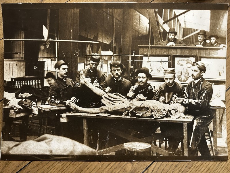 Large 19.5” X 13.5” Antique Autopsy Dissecting Medical Photo