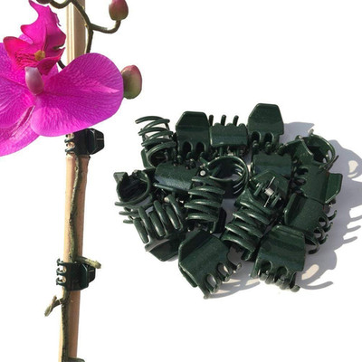 50 Large Orchid and Garden Support Clips - 50 Pieces, Green (Flowers Not Include