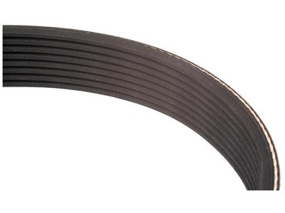 D&D 3911562 Replacement Belt fits WHITE | eBay