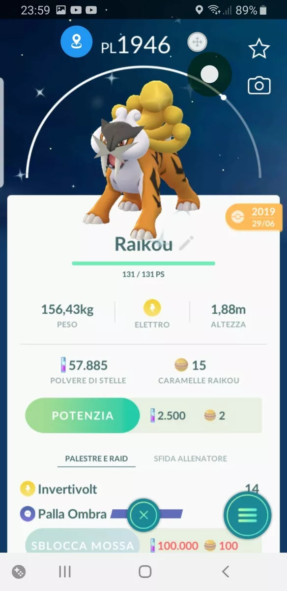 Raikou - Pokemon Go