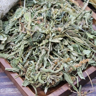 dandelion, 蒲公英