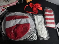 CAT IN THE HAT COSTUME ACCESSORY SET BD1