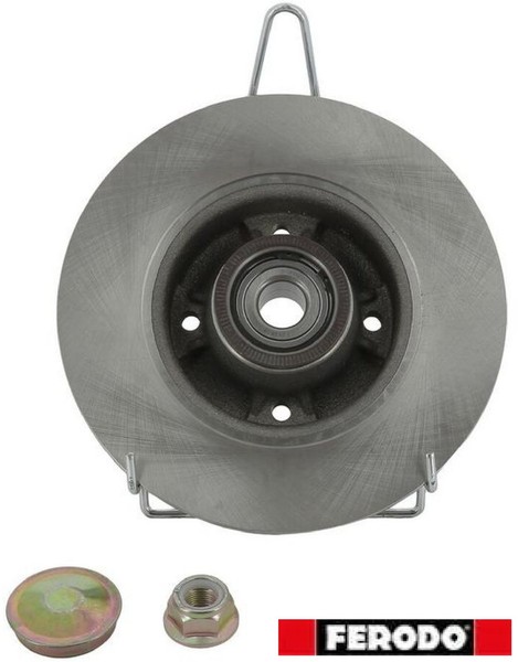 2X Bremsscheibe Ferodo DDF1571-1 2 Bremsscheiben Hinterachse Hinten FüR Renault-image