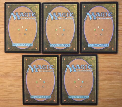 Set of 5 Rare Dual Reveal Lands *NM* (English Magic MTG) AFR Forgotten Realms - Picture 2 of 2
