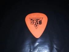 DAVE MATTHEWS BAND 2004 Some Devil Tour Stage Used Concert RaRe GUITAR PICK