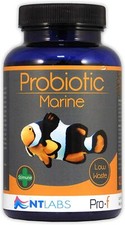 NT Labs Probiotic Marine Granules Fish Food