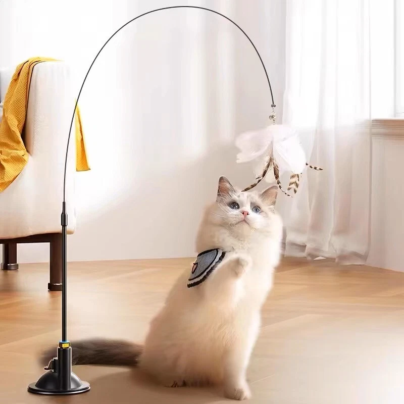 Interactive Cat Toys Feather Toys for Indoor Kitten Suction Base
Opens in a new window or tab