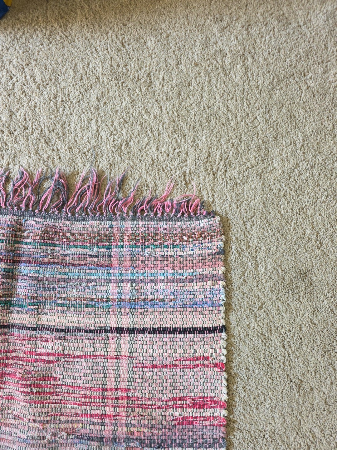 Picture 5 of 5