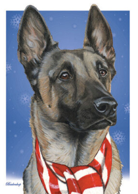 Belgian Malinois Christmas Cards Set of 10 cards 10 envelopes